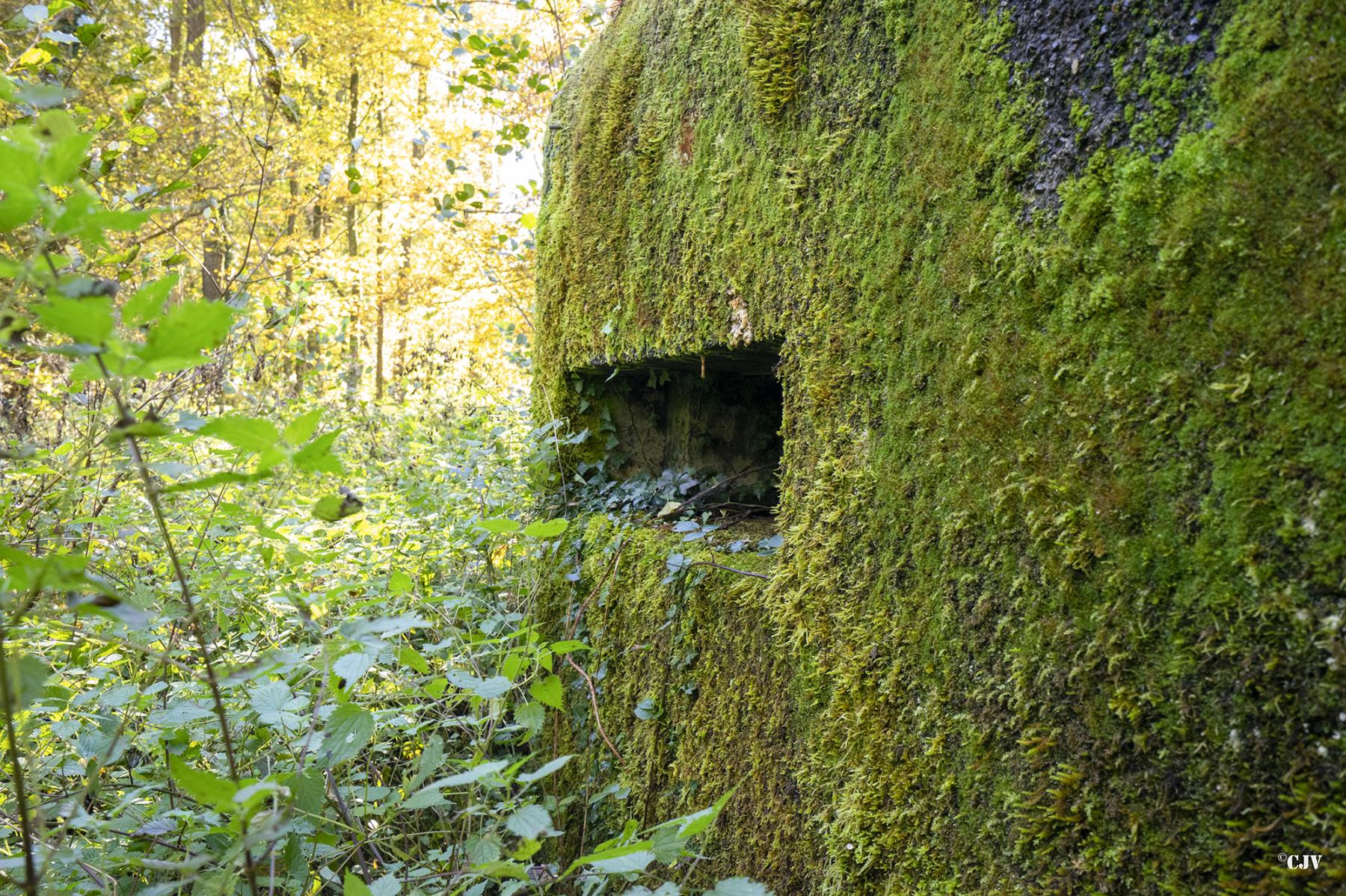 Ligne Maginot - GODELOT - (Blockhaus pour arme infanterie) - Créneau