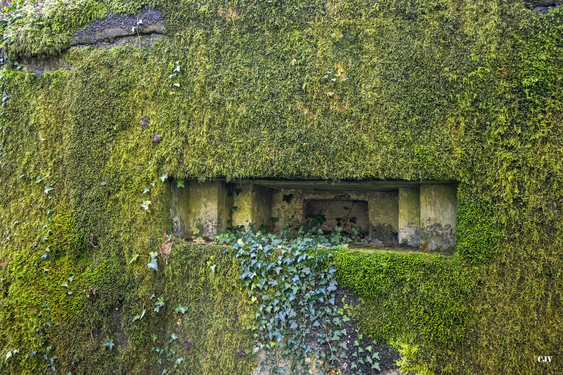 Ligne Maginot - GODELOT - (Blockhaus pour arme infanterie) - Créneau