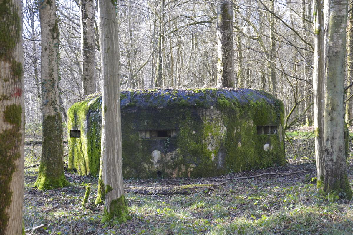 Ligne Maginot - GODELOT - (Blockhaus pour arme infanterie) - Le blockhaus près du Carrefour de la Veuve dans le forêt de Mormal
