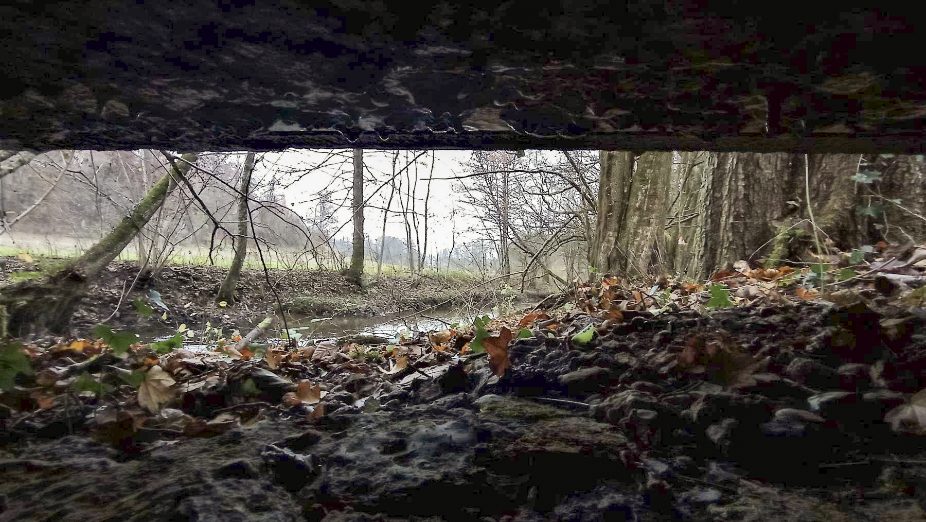 Ligne Maginot - VERLORENERBACH - (Blockhaus pour arme infanterie) - Le créneau principal prenant en enfilade la vallée de la Sauer - Baptiste GAUDIN