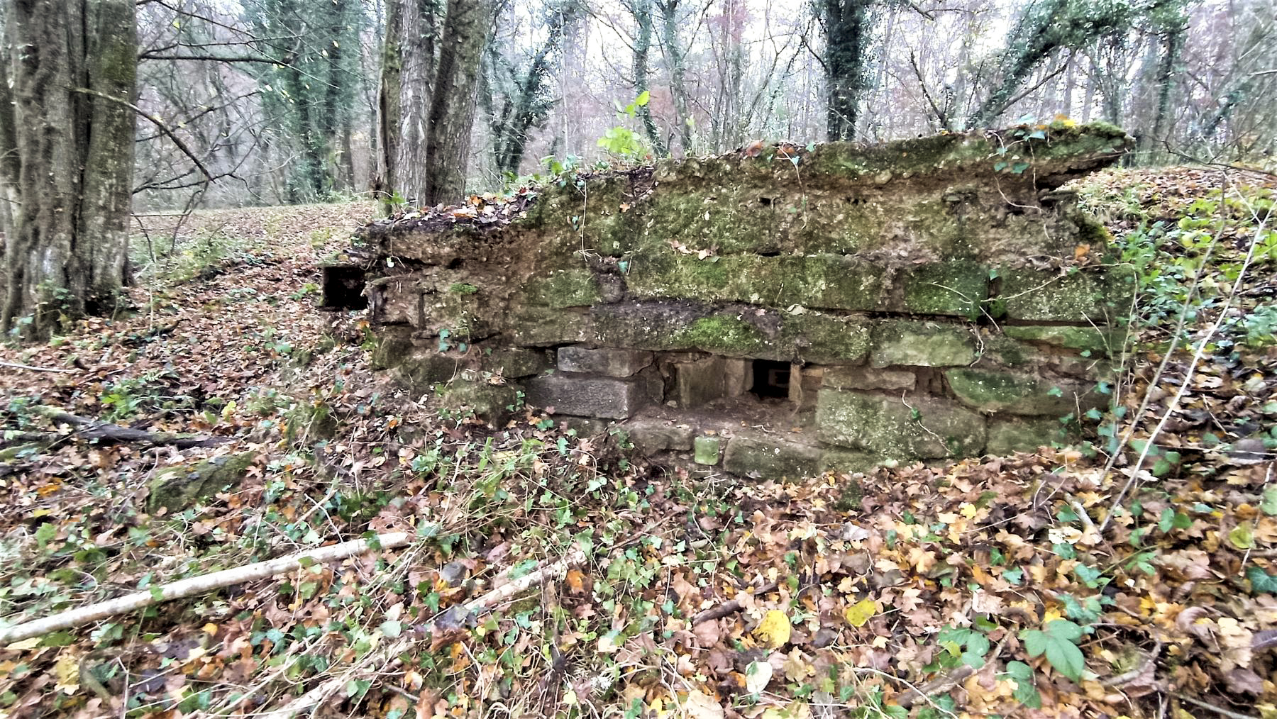 Ligne Maginot - VERLORENERBACH - (Blockhaus pour arme infanterie) - Créneau de défense rapprochée