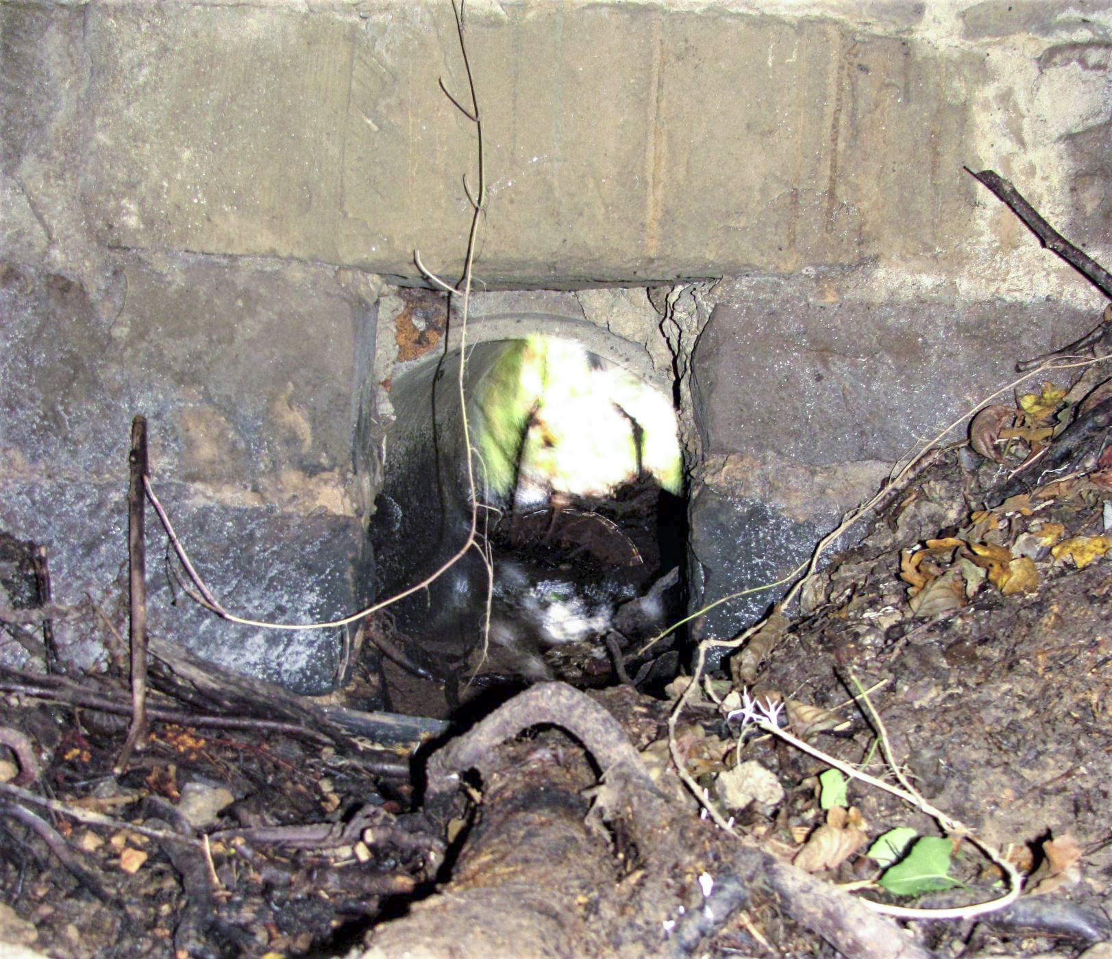 Ligne Maginot - VERLORENERBACH - (Blockhaus pour arme infanterie) - Buse d'évacuation des eaux