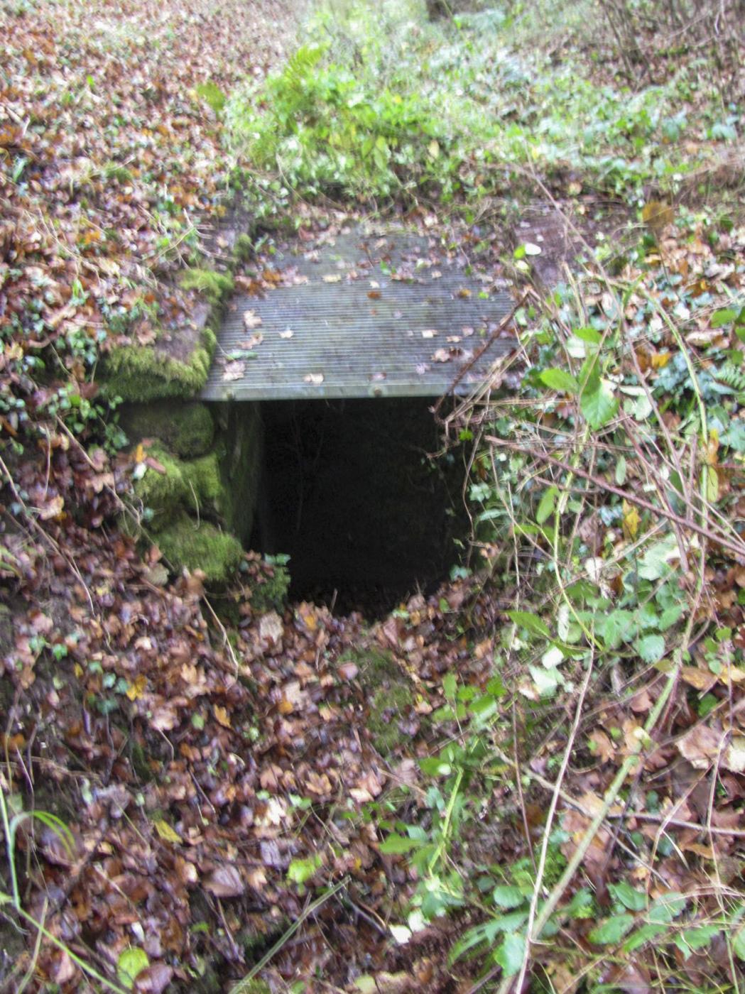 Ligne Maginot - VERLORENERBACH - (Blockhaus pour arme infanterie) - Entrée coté droit