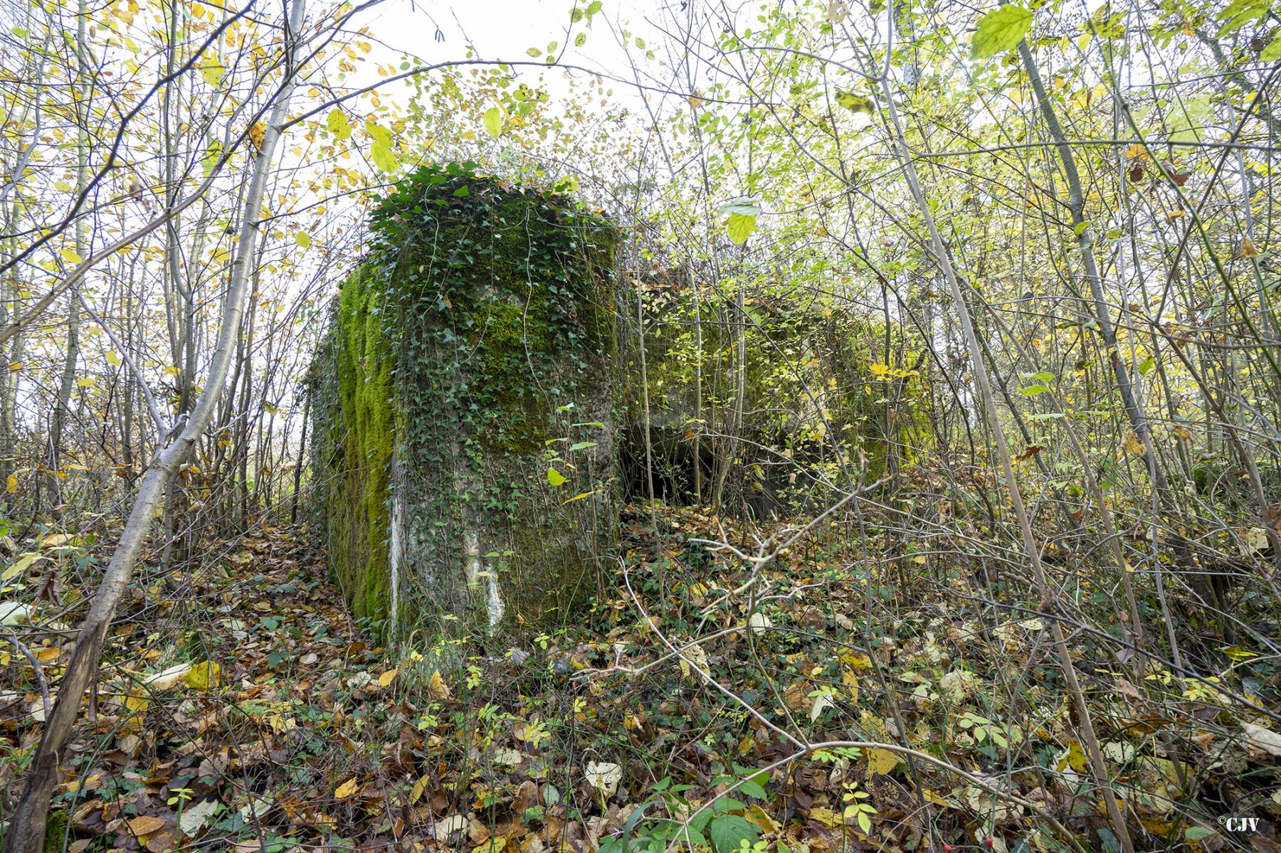 Ligne Maginot - CB174 - (Blockhaus pour canon) - Le créneau est à peine visible