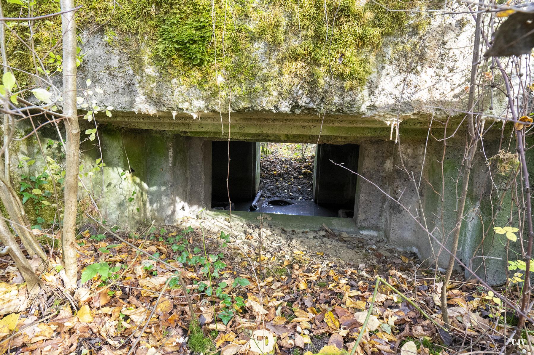 Ligne Maginot - CB174 - (Blockhaus pour canon) - Le créneau