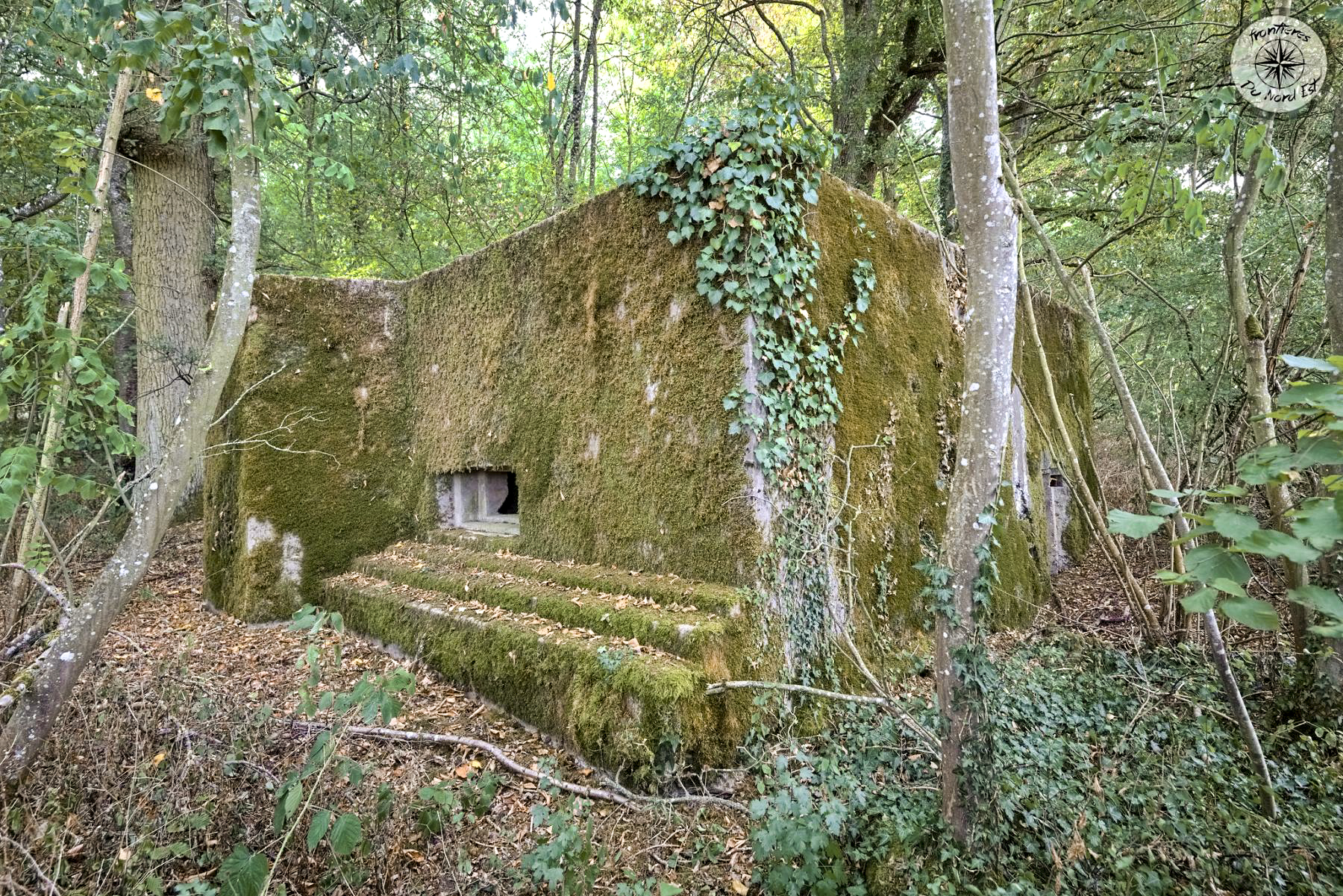 Ligne Maginot - CB272 - GENFER 2 - (Blockhaus pour canon) - 