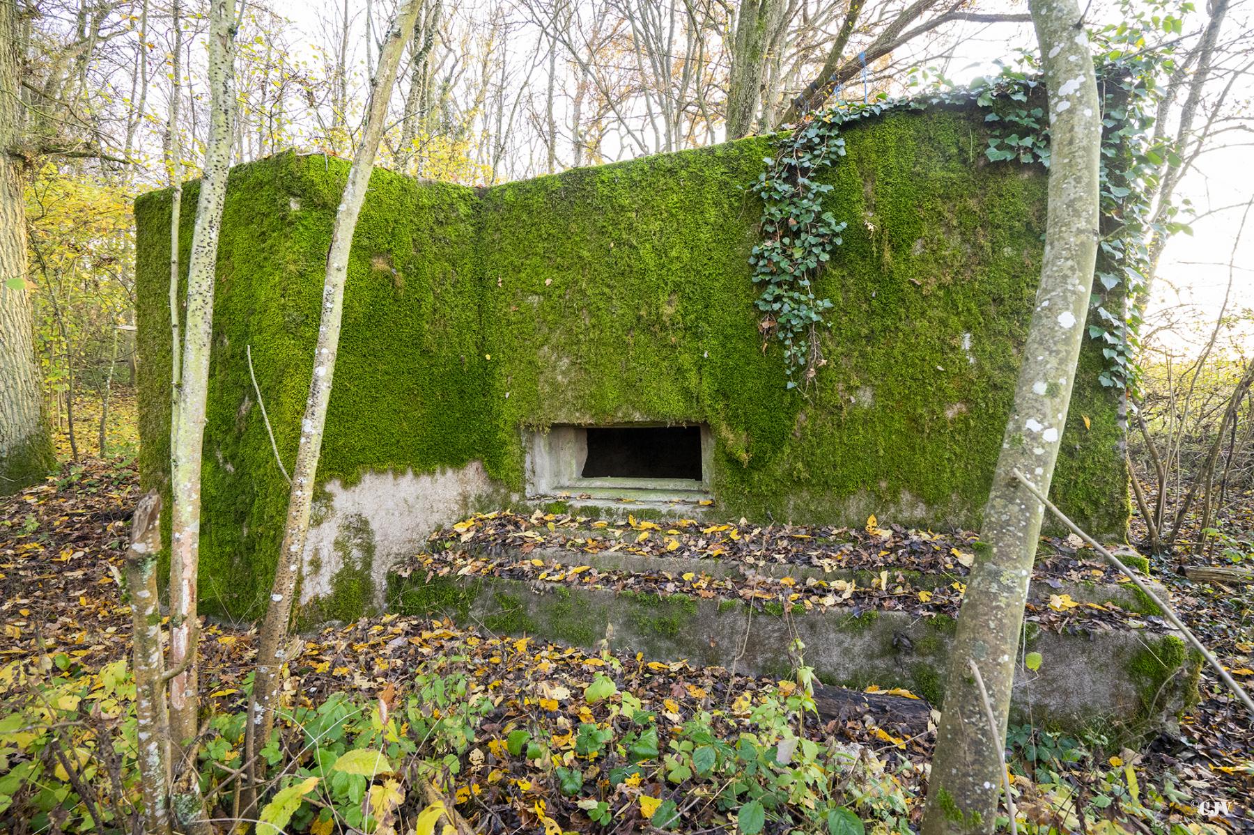 Ligne Maginot - CB272 - GENFER 2 - (Blockhaus pour canon) - 