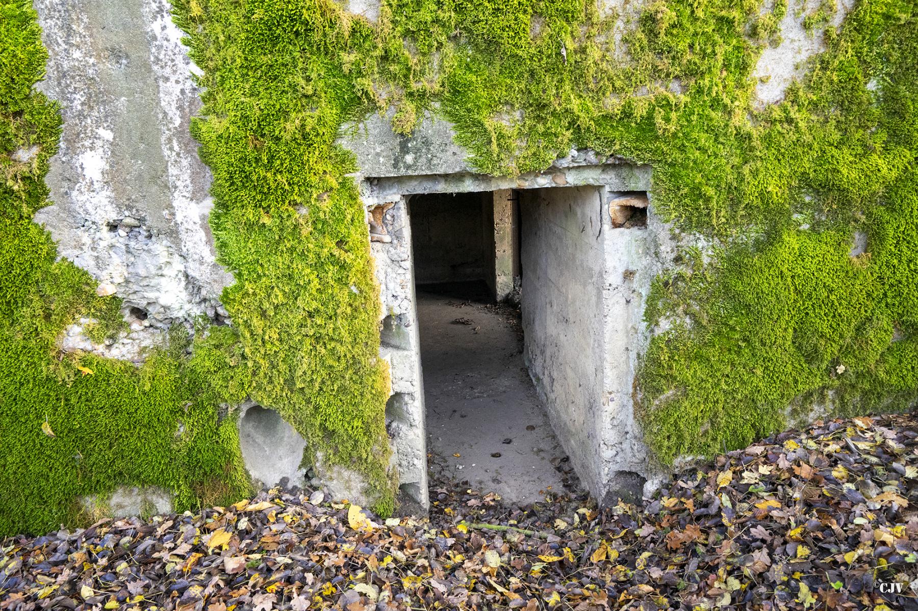 Ligne Maginot - CB272 - GENFER 2 - (Blockhaus pour canon) - L'entrée pour les hommes