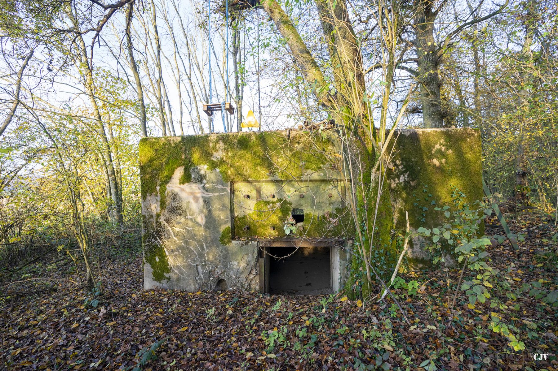 Ligne Maginot - CB272 - GENFER 2 - (Blockhaus pour canon) - L'entrée du matériel