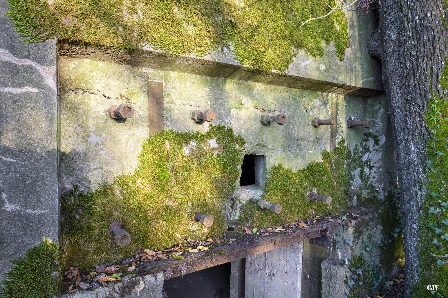 Ligne Maginot - CB272 - GENFER 2 - (Blockhaus pour canon) - L'entrée du matériel
