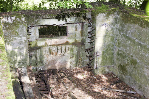 Ligne Maginot - CB273 - GENFER 1 - (Blockhaus pour canon) - Autre vue