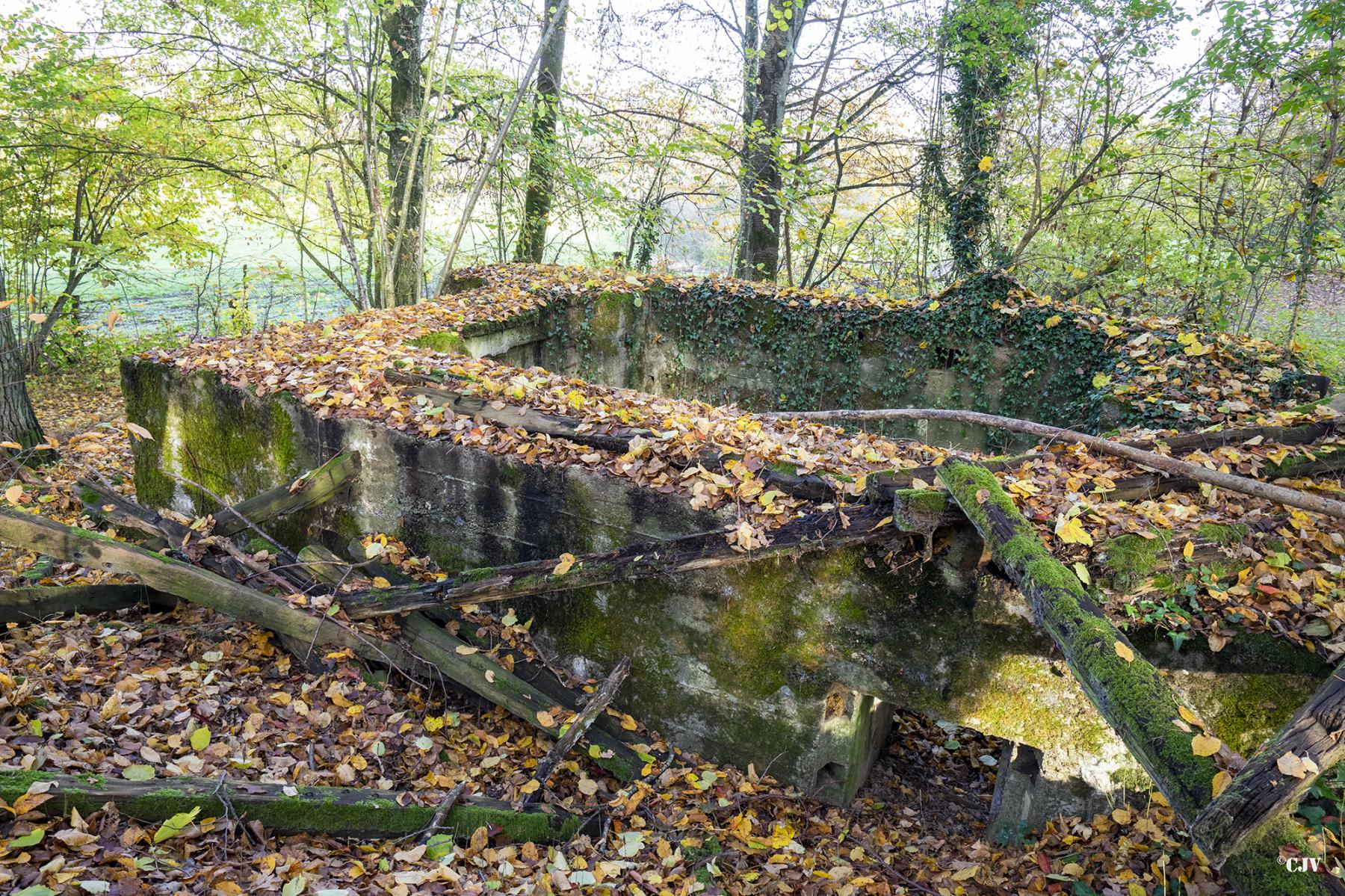 Ligne Maginot - CB273 - GENFER 1 - (Blockhaus pour canon) - 