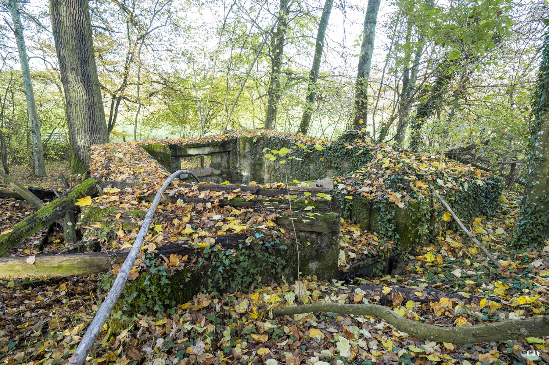Ligne Maginot - CB273 - GENFER 1 - (Blockhaus pour canon) - 
