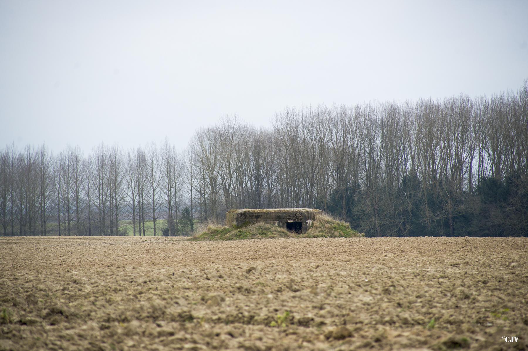 Ligne Maginot - B602 - CHAPELLE SAINT JOSEPH - (Blockhaus pour arme infanterie) -  - Lia VERMEULEN