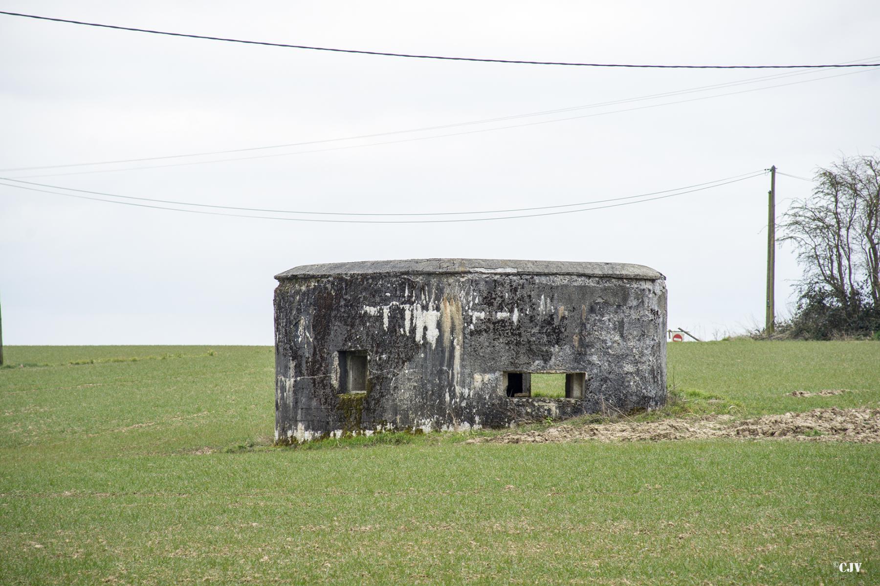 Ligne Maginot - B613 - LA PISSELOTTE - (Blockhaus pour canon) - 