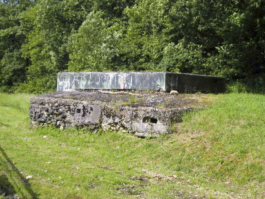 Ligne Maginot - CB299 - JUNGBUSCH - (Blockhaus pour canon) - 