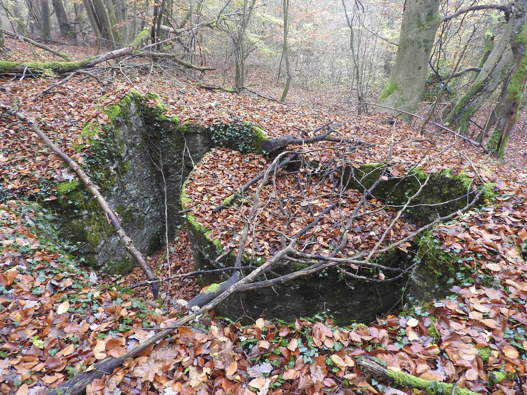 Ligne Maginot - GUNGLINGERBERG 6 - (Cuve pour arme d'infanterie) - La cuve pour arme d'infanterie.