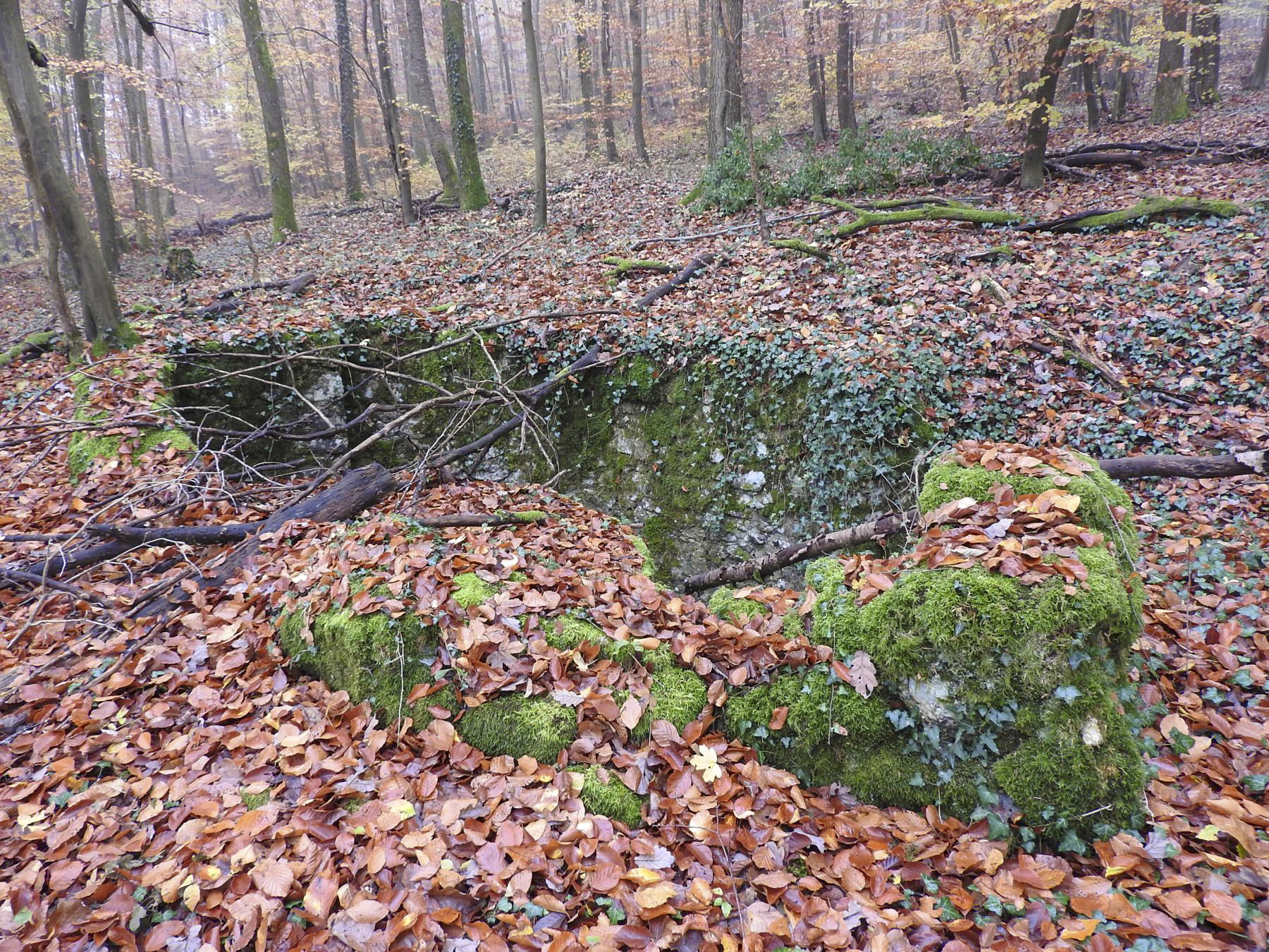 Ligne Maginot - GUNGLINGERBERG 6 - (Cuve pour arme d'infanterie) - La cuve pour arme d'infanterie.