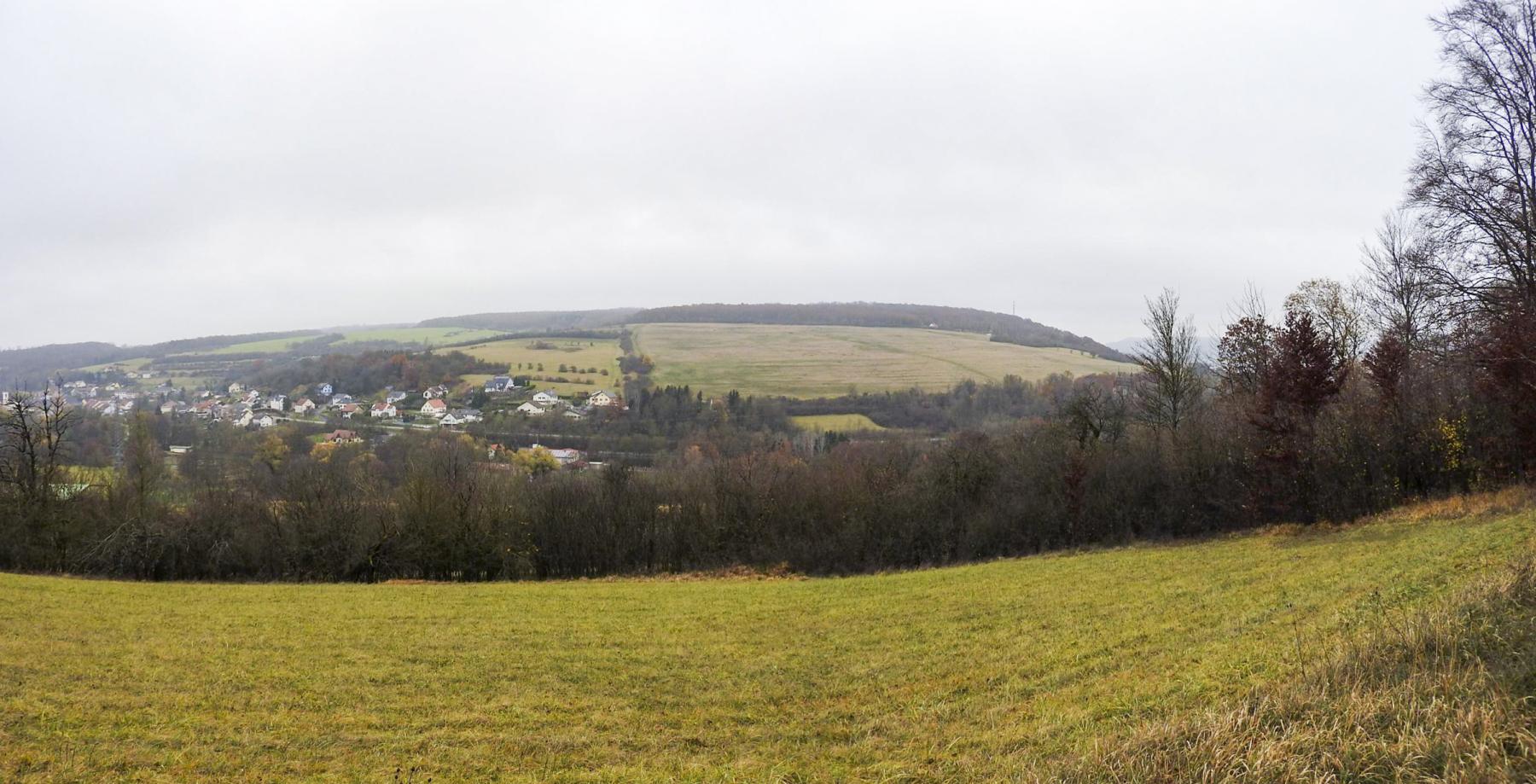 Ligne Maginot - MEISTERBUSCH 3 - (Observatoire d'infanterie) - La vue depuis l'observatoire (photo prise depuis la petite prairie qui se trouve juste devant).