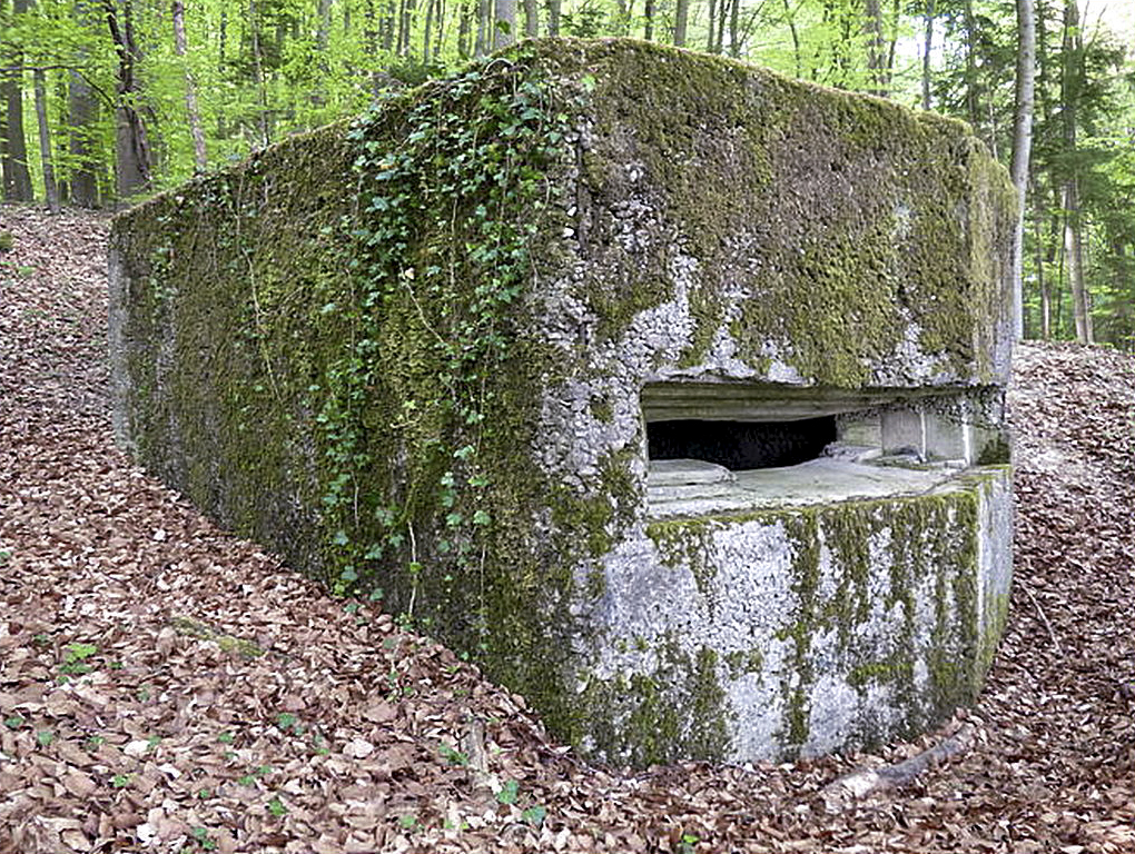 Ligne Maginot - MEISTERBUSCH 3 - (Observatoire d'infanterie) - Un observatoire dans la forêt