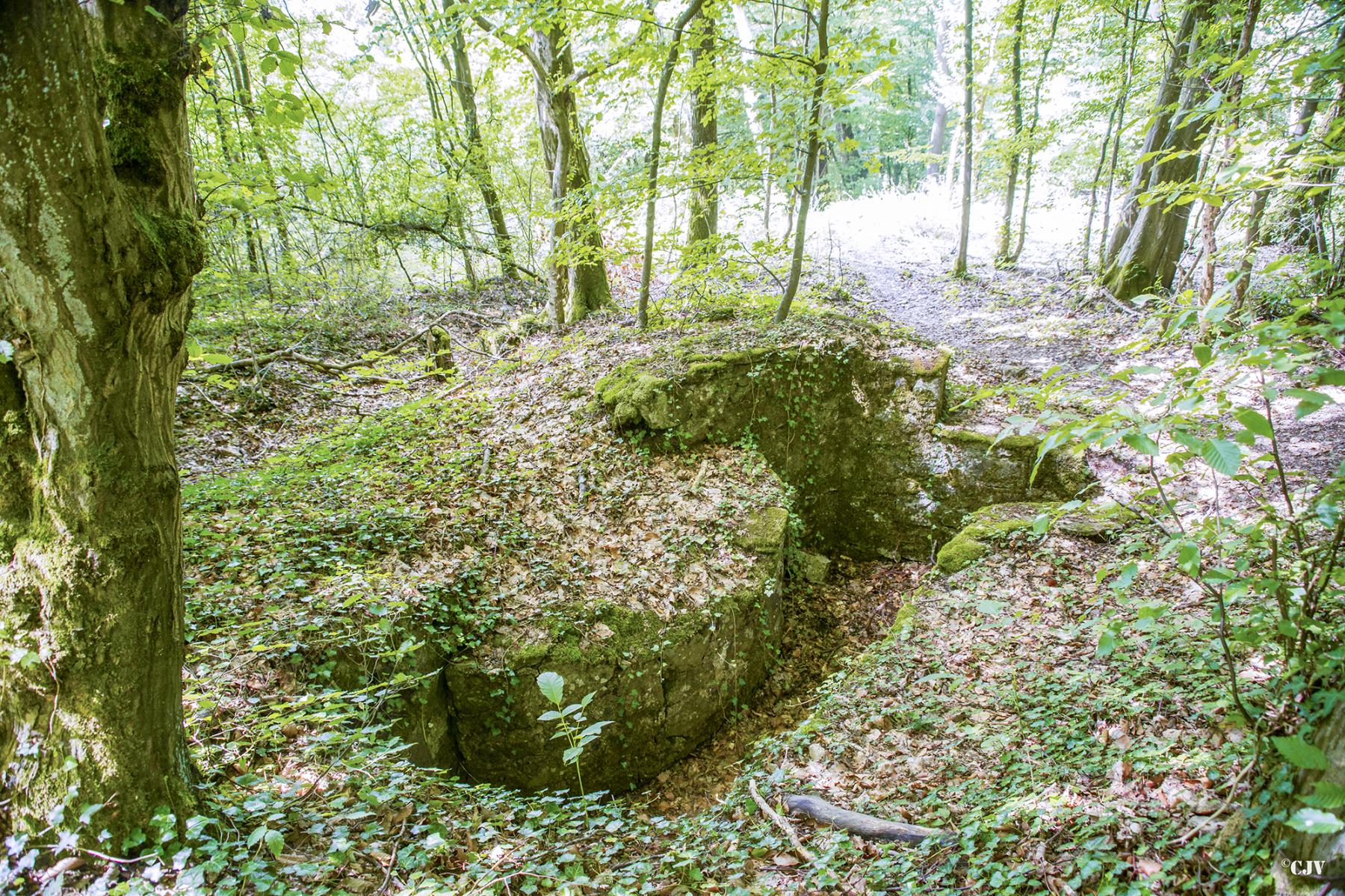 Ligne Maginot - MEISTERBUSCH 1 - (Cuve pour arme d'infanterie) - 