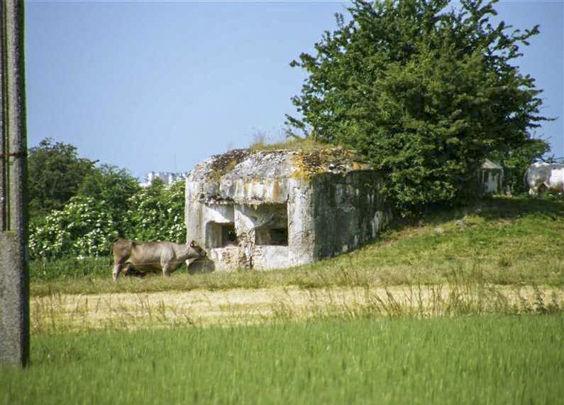 Ligne Maginot - B626 - FAUBOURG D'ASSEVENT - (Blockhaus pour canon) - 