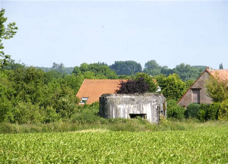 Ligne Maginot - B627 - PONT D'ALLANT NORD - (Blockhaus pour canon) - 