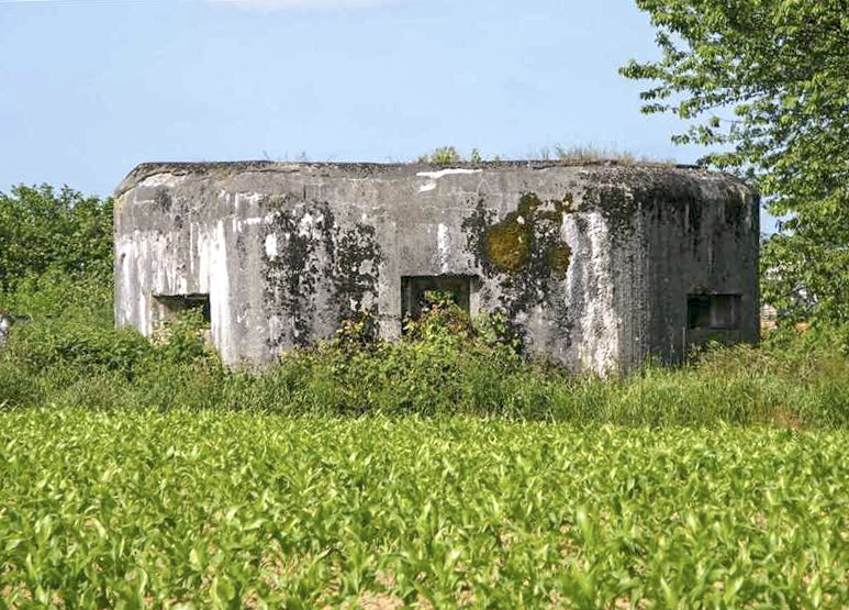 Ligne Maginot - B627 - PONT D'ALLANT NORD - (Blockhaus pour canon) - Au milieu, le créneau frontal.