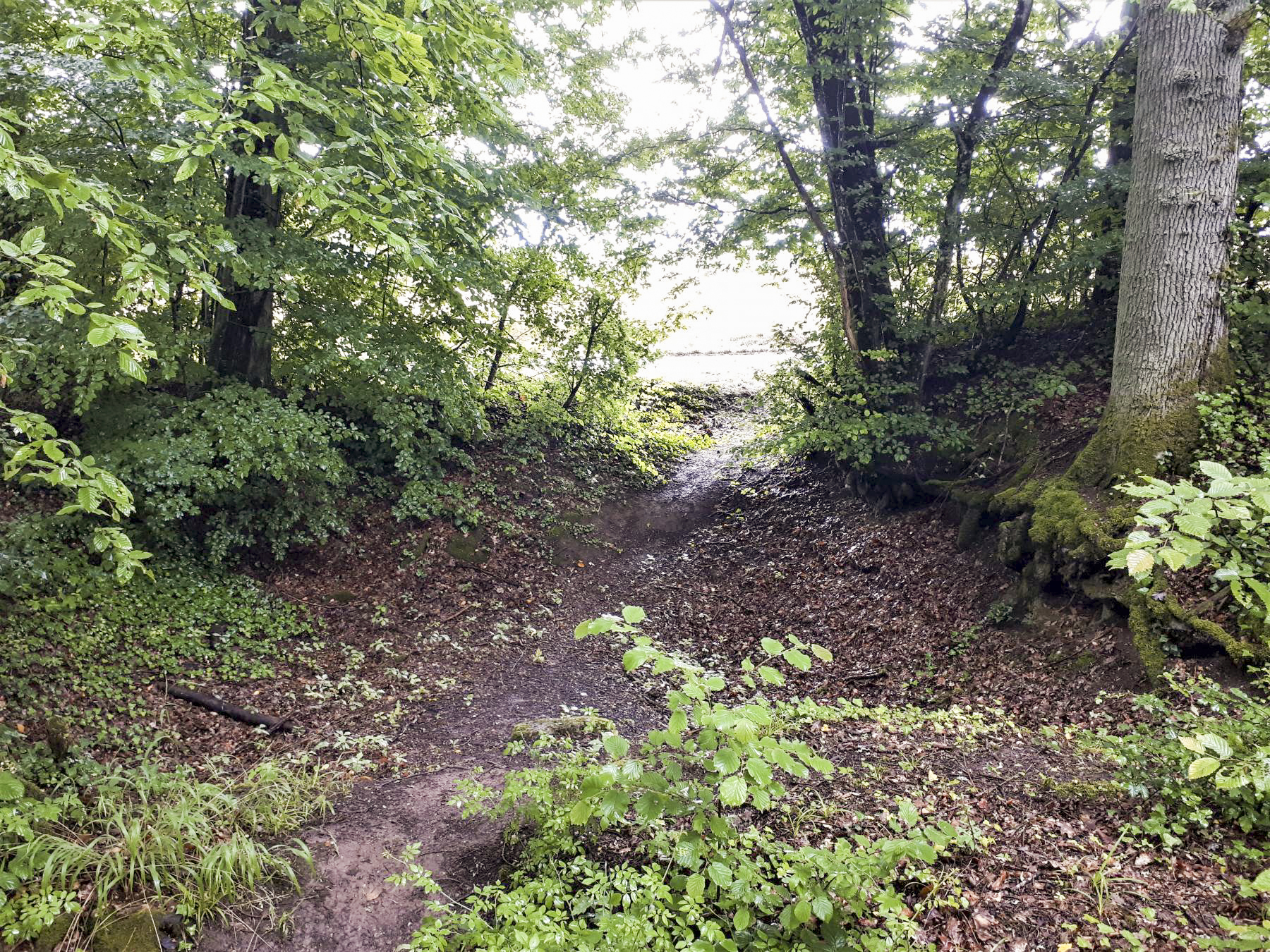 Ligne Maginot - BB351 - HUBERBUSCH 2 - (Blockhaus pour arme infanterie) - Emplacement d'un abri de campagne devant le blockhaus