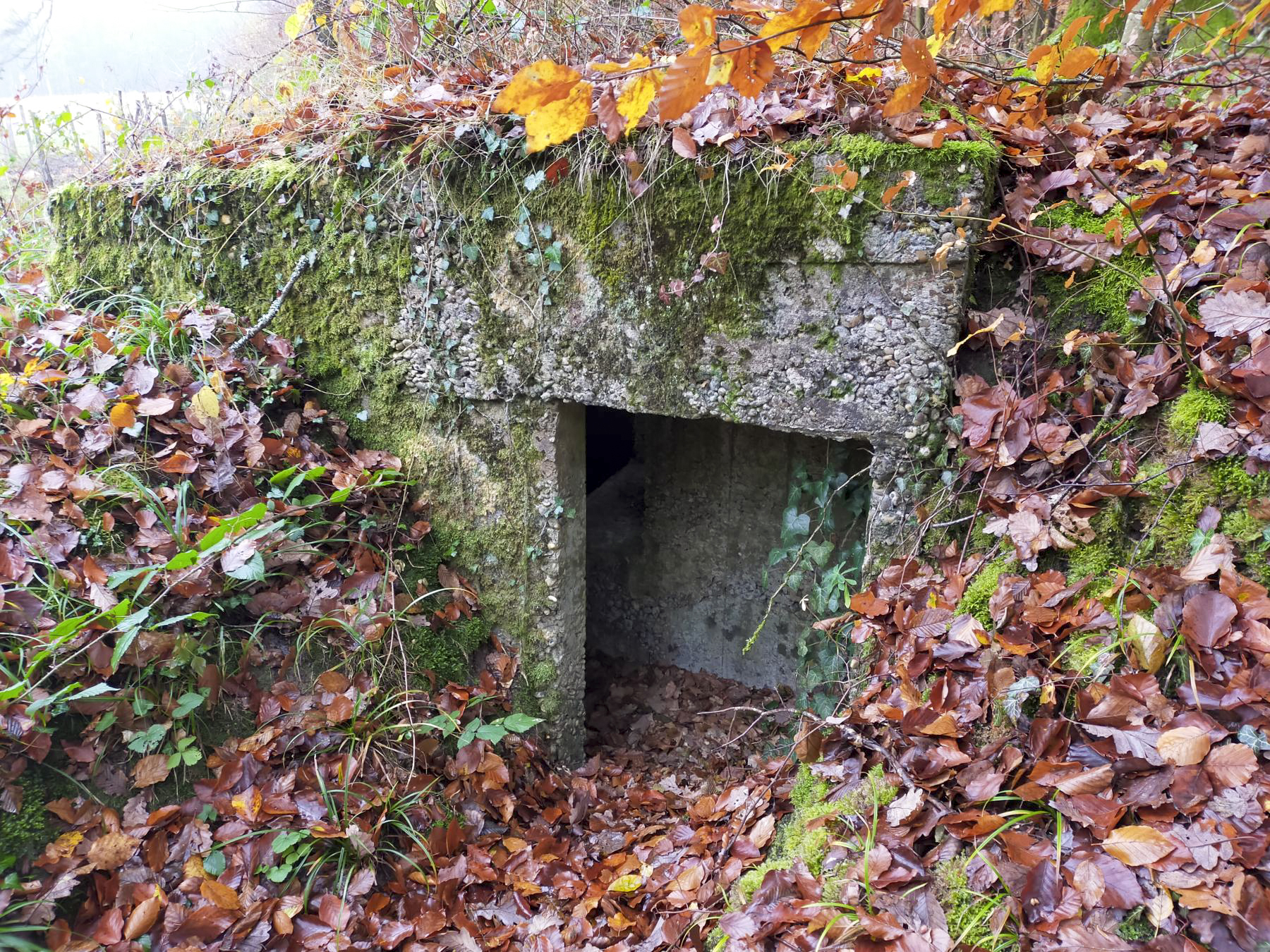 Ligne Maginot - BB40 - (Blockhaus pour arme infanterie) - Arrière du blockhaus