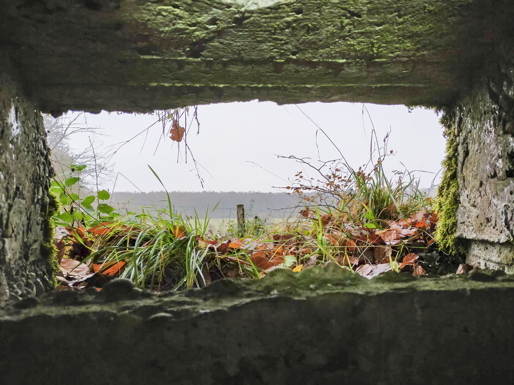 Ligne Maginot - BB40 - (Blockhaus pour arme infanterie) - Vue depuis le créneau
