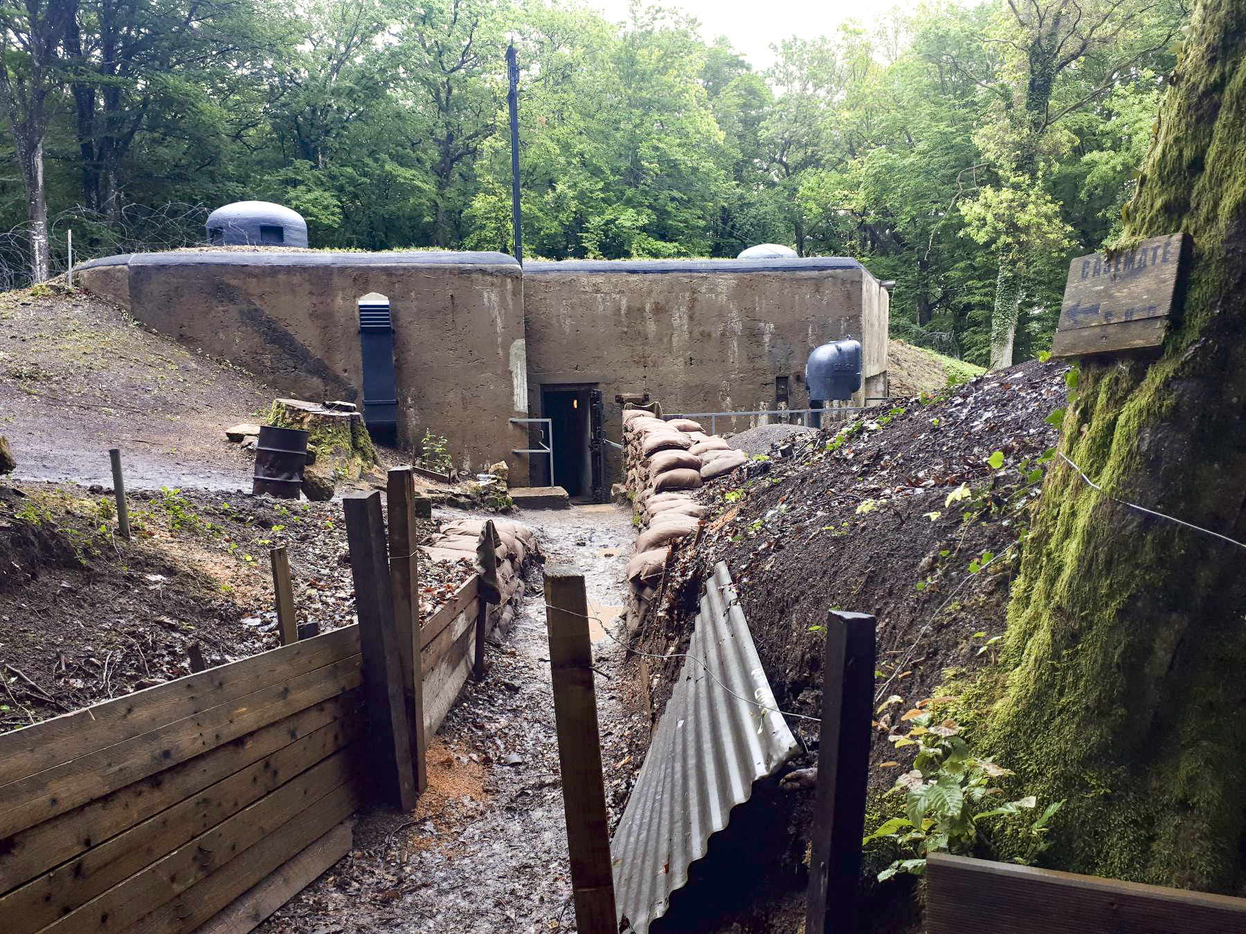 Ligne Maginot - HUBERBUSCH SUD - C59 - (Casemate d'infanterie) - La tranchée reconstituée vers l'entrée de la casemate