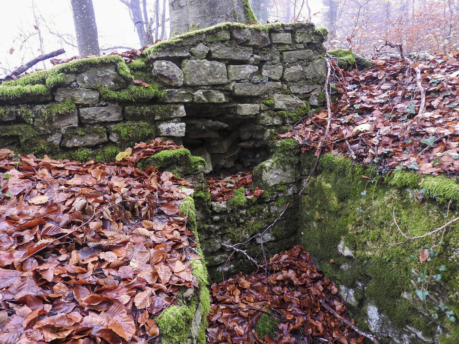 Ligne Maginot - MEISTERBUSCH 6 - (Cuve pour arme d'infanterie) - La niche à munitions.