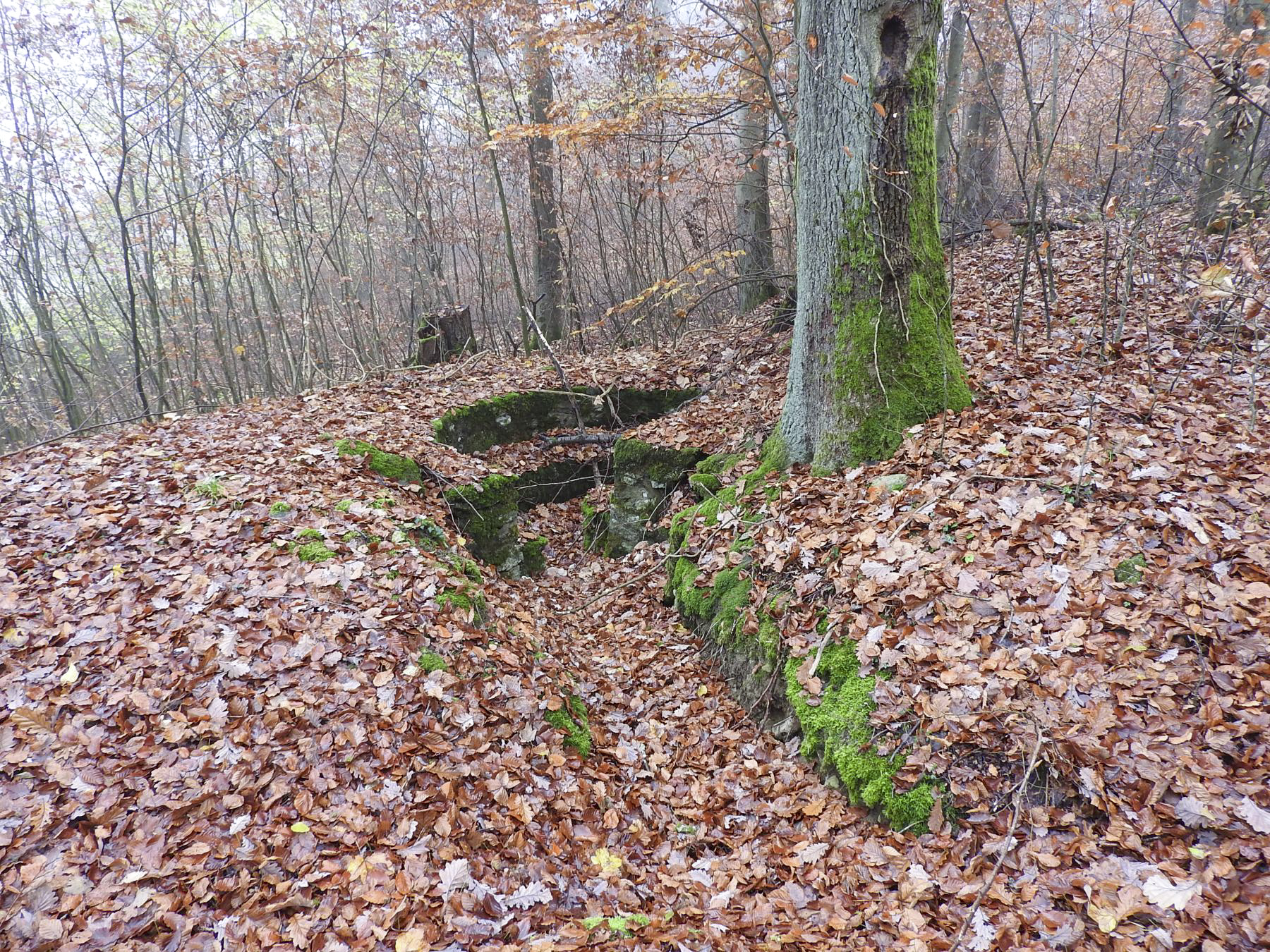 Ligne Maginot - MEISTERBUSCH 8 - (Cuve pour arme d'infanterie) - La cuve en maçonnerie pour mitrailleuse.