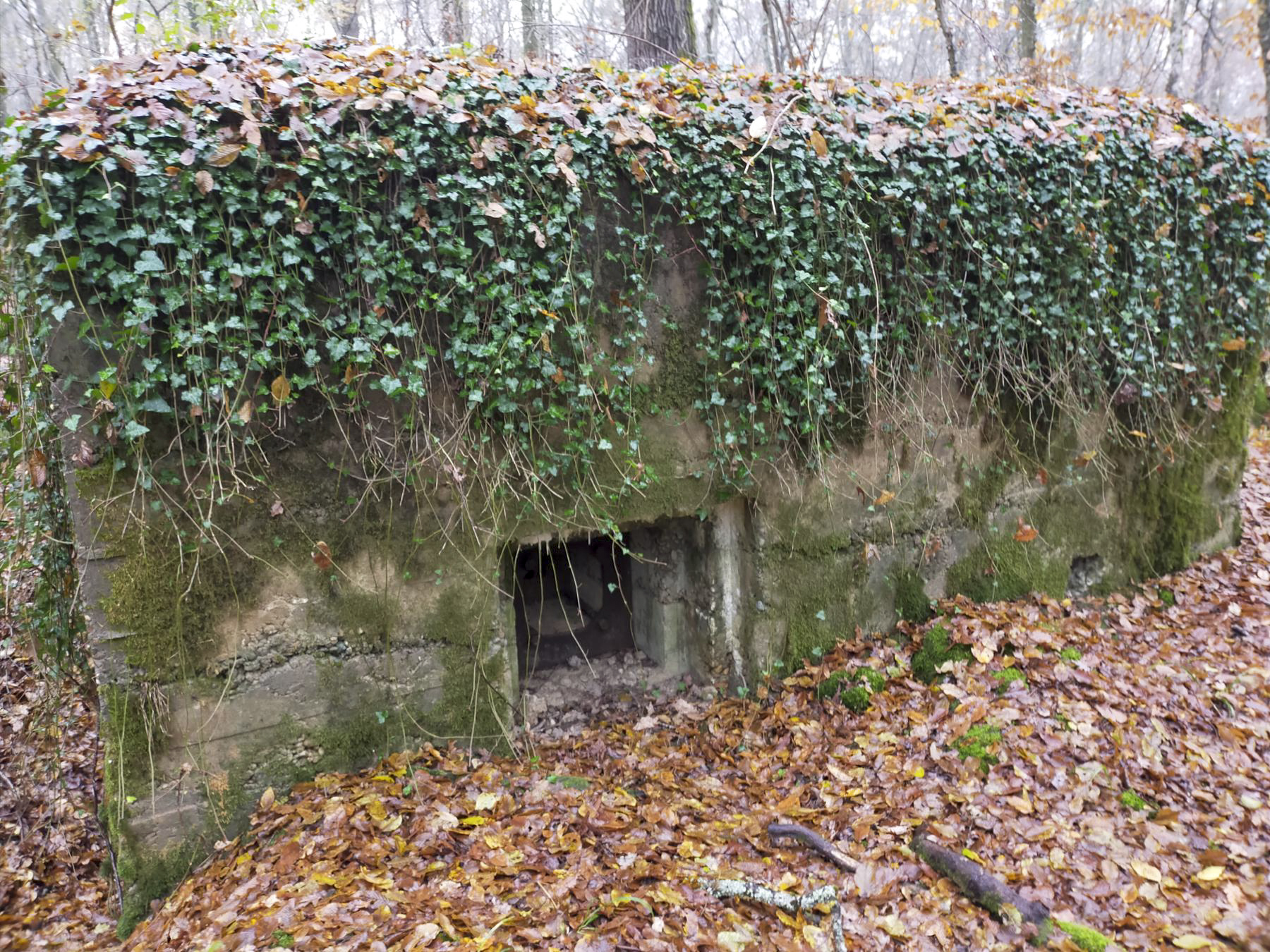 Ligne Maginot - CB443 - BOIS KARRE 7 - (Blockhaus pour arme infanterie) - Créneau FM vu de l'extérieur.