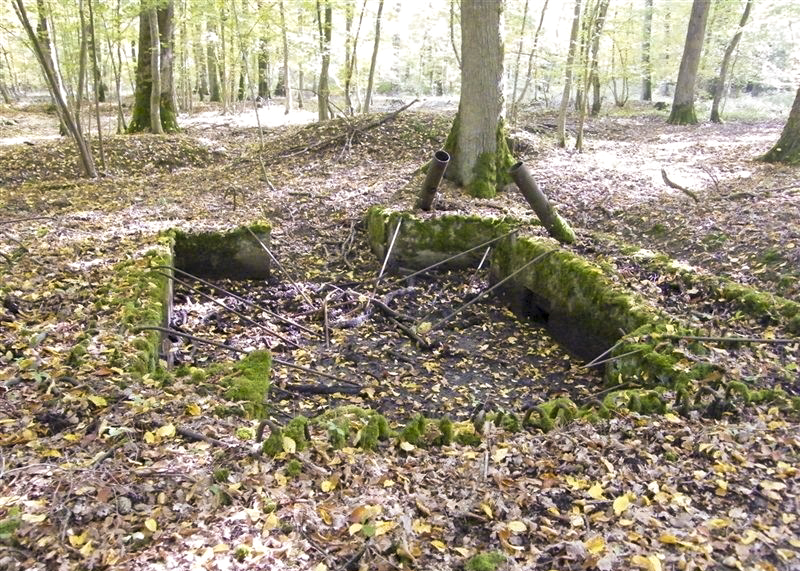 Ligne Maginot - CB443-B - BOIS KARRE 5 - (Blockhaus pour canon) - 
