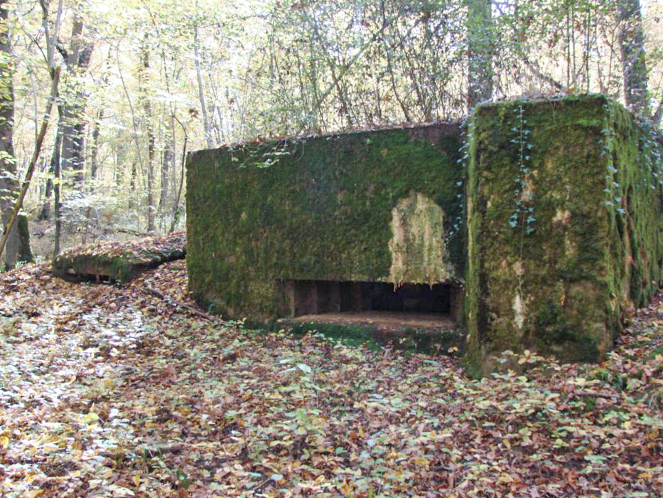 Ligne Maginot - CB445 - BOIS KARRE 3 - (Blockhaus pour canon) - On notera la présence d'une petite annexe, sur la gauche du blockhaus, pour l'instalation d'un FM et observation.