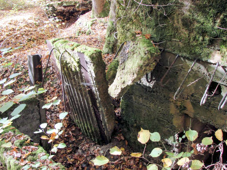 Ligne Maginot - CB445 - BOIS KARRE 3 - (Blockhaus pour canon) - L'entrée
Toit effondré au niveau de l'entrée du blockhaus et de l'annexe.