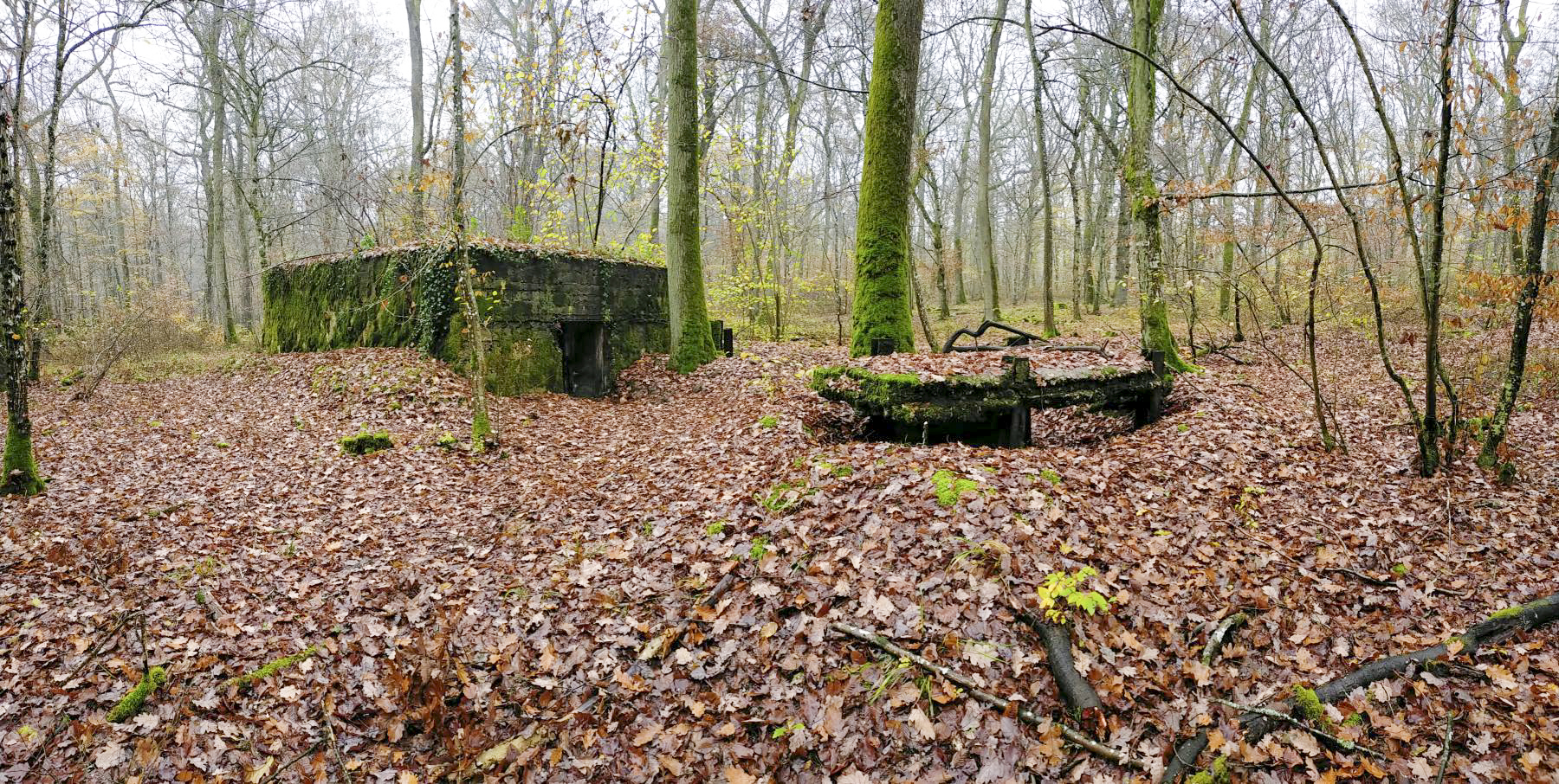 Ligne Maginot - CB445 - BOIS KARRE 3 - (Blockhaus pour canon) - Vue d'ensemble de l'arrière du blockhaus.
