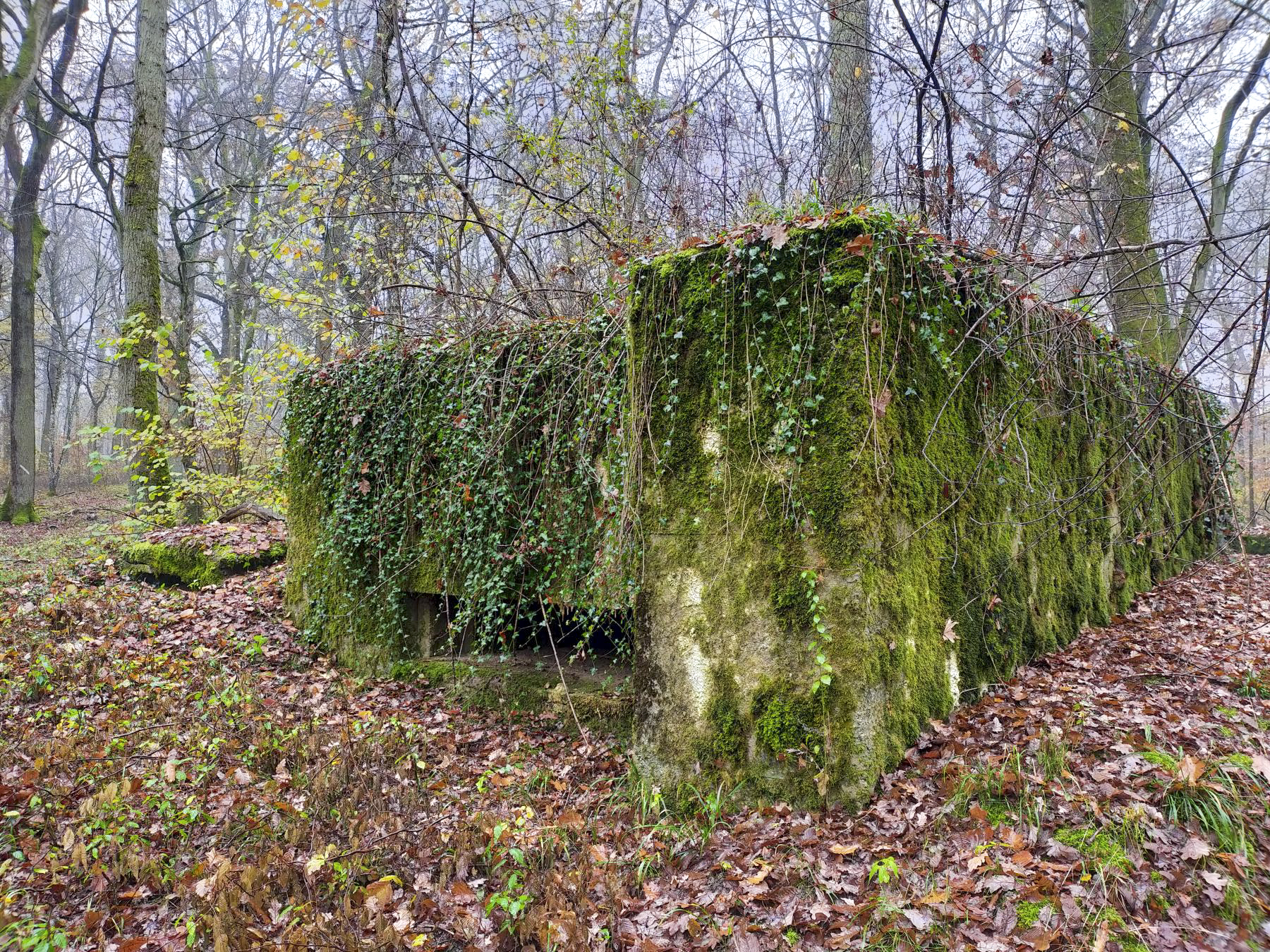 Ligne Maginot - CB445 - BOIS KARRE 3 - (Blockhaus pour canon) - Le blockhaus avec son annexe à gauche.