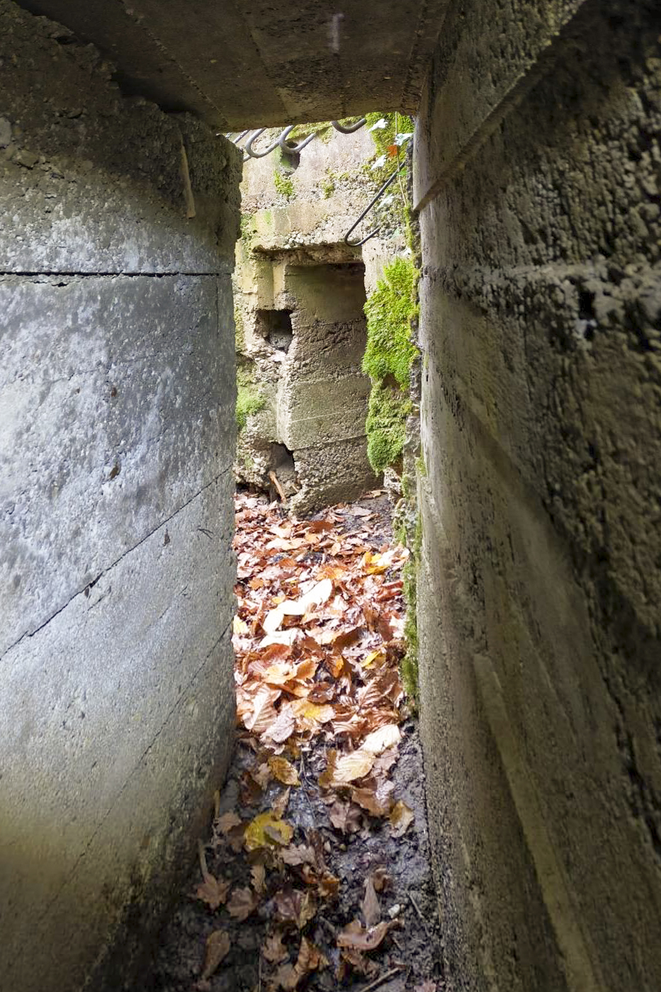 Ligne Maginot - CB445 - BOIS KARRE 3 - (Blockhaus pour canon) - L'entrée des hommes depuis le poste bétonné.