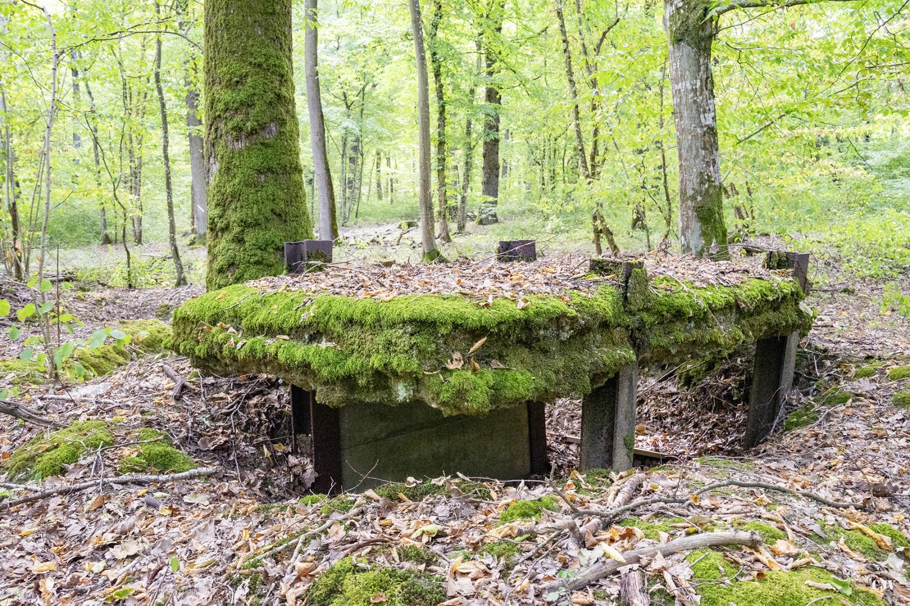 Ligne Maginot - CB445 - BOIS KARRE 3 - (Blockhaus pour canon) - 