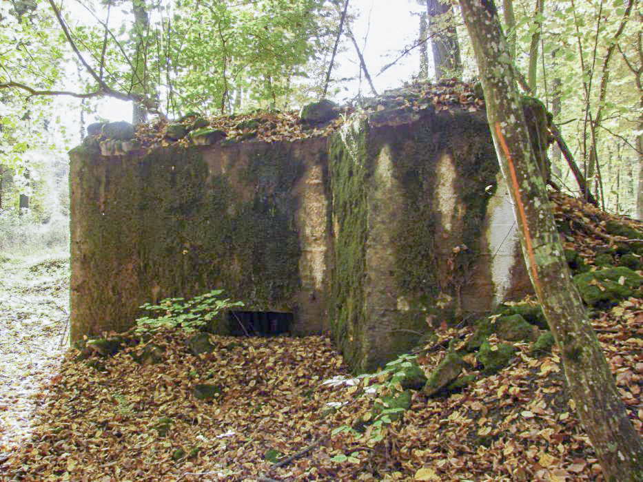 Ligne Maginot - CB447 - BOIS KARRE 2 - (Blockhaus pour arme infanterie) - Vue de la façade avant - Schnoupf