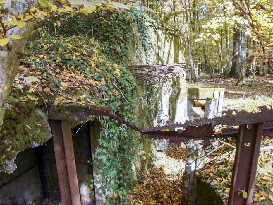 Ligne Maginot - CB447 - BOIS KARRE 2 - (Blockhaus pour arme infanterie) - Vue de la façade gauche
On voit sur la droite de la façade un créneau de tir pour arme d'infanterie. - Schnoupf