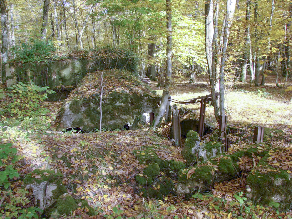 Ligne Maginot - CB447 - BOIS KARRE 2 - (Blockhaus pour arme infanterie) - Vue d'ensemble de l'arrière - Schnoupf