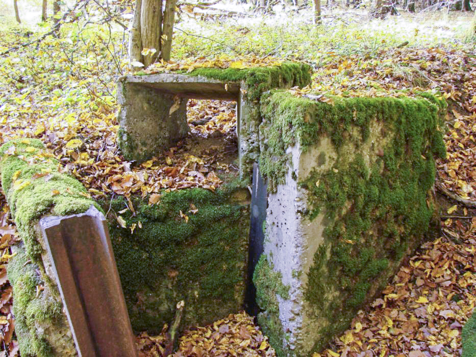 Ligne Maginot - CB447 - BOIS KARRE 2 - (Blockhaus pour arme infanterie) - A l'arrière du blockhaus, une tranchée bétonnée avec créneau de tir pour arme d'infanterie. - Schnoupf
