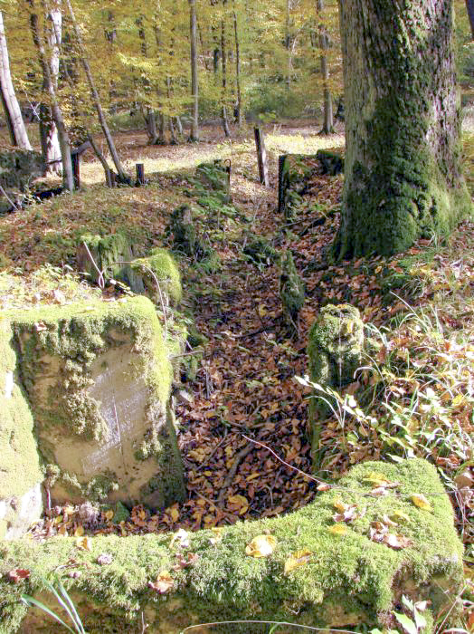 Ligne Maginot - CB447 - BOIS KARRE 2 - (Blockhaus pour arme infanterie) - Tranchée bétonnée à l'arrière du blockhaus. - Schnoupf