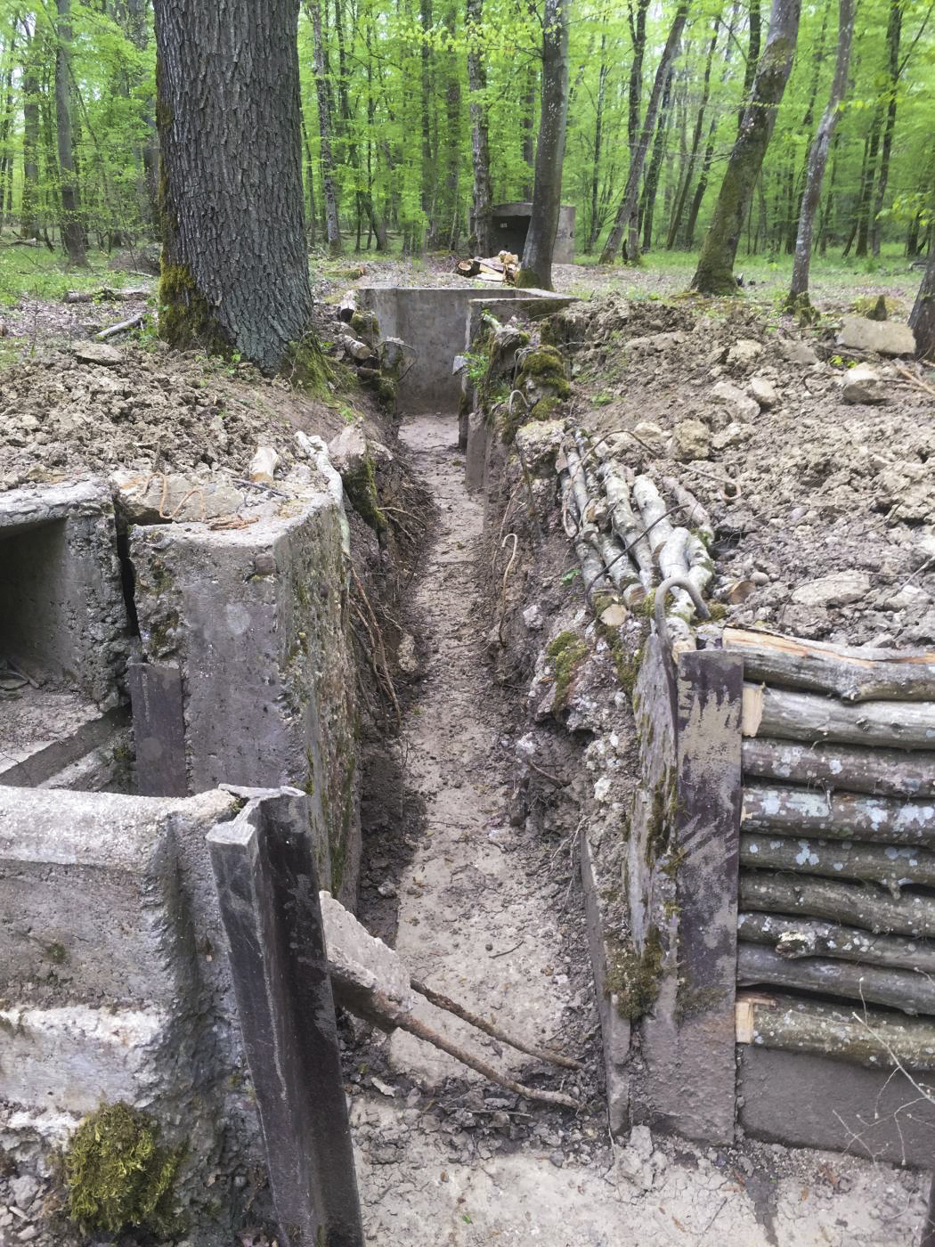 Ligne Maginot - CB447 - BOIS KARRE 2 - (Blockhaus pour arme infanterie) - Travaux de réhabilitation lancés par l'association LMCE - 2021 - Louis Zenner