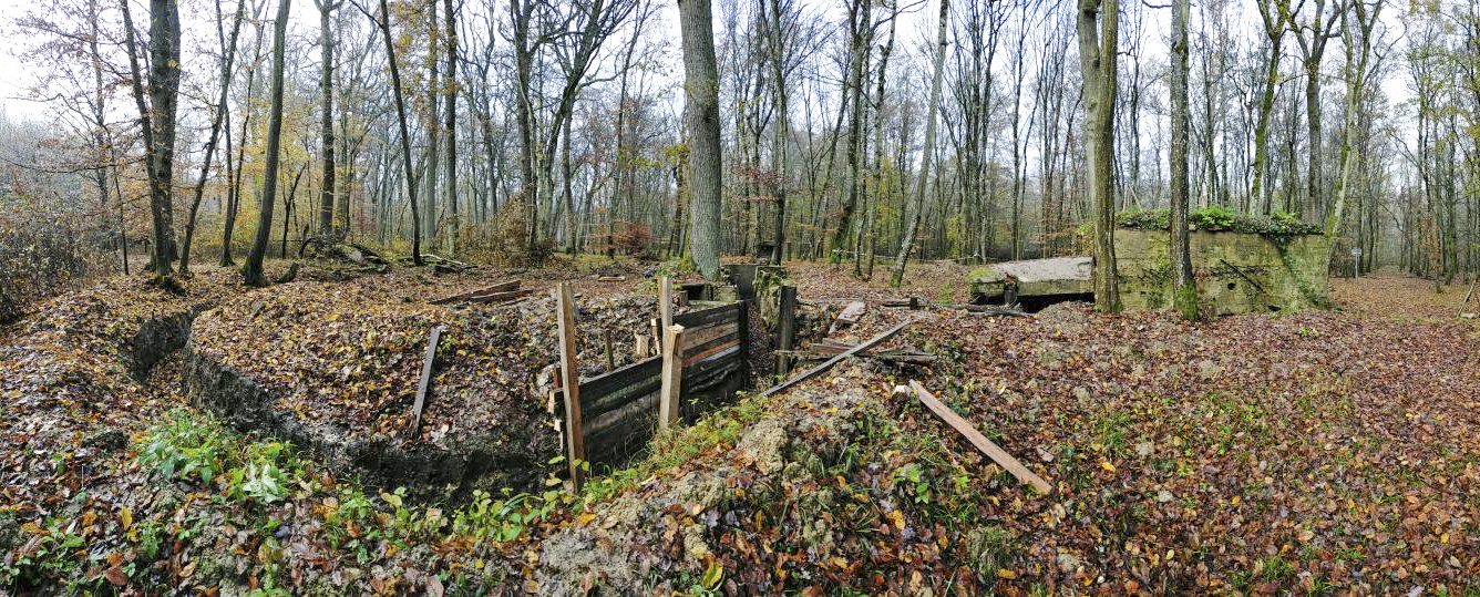 Ligne Maginot - CB447 - BOIS KARRE 2 - (Blockhaus pour arme infanterie) - Tranchées autour du blockhaus. - Julien Boulanger
