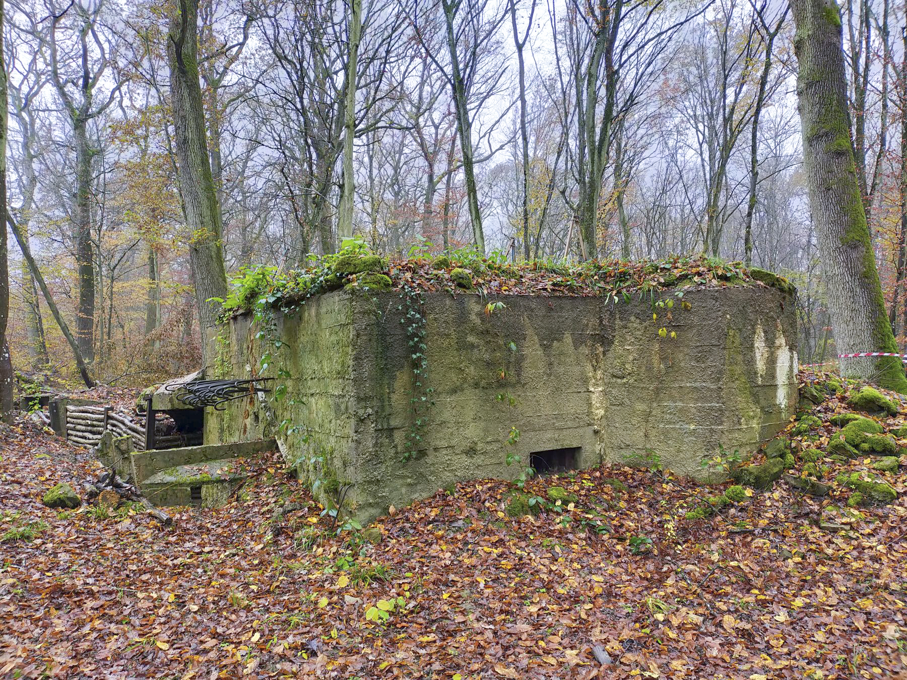 Ligne Maginot - CB447 - BOIS KARRE 2 - (Blockhaus pour arme infanterie) -  - Julien Boulanger